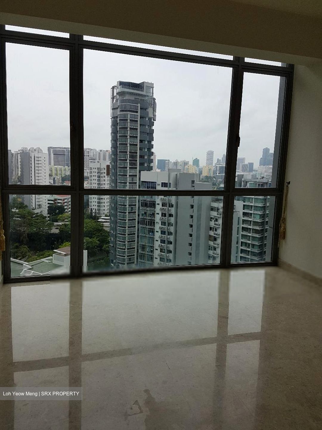 Park Infinia At Wee Nam (D11), Condominium #535757381